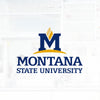 Media Element Image