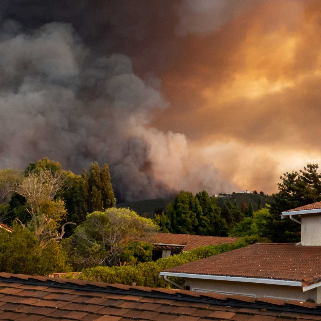 Wildfire_374541430.jpg